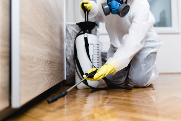 Best Residential Pest Control  in Manila, AR
