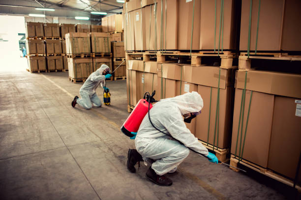 Best Local Pest Control Services  in Manila, AR