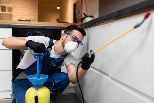 Best Commercial Pest Control Services  in Manila, AR