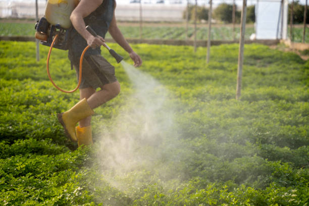 Best Best Pest Control Companies  in Manila, AR
