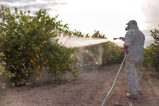Best Cockroach Control Services  in Manila, AR