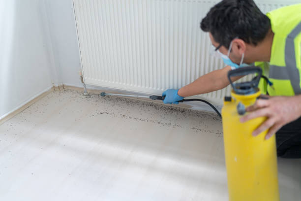 Reliable Manila, AR Pest Control Solutions